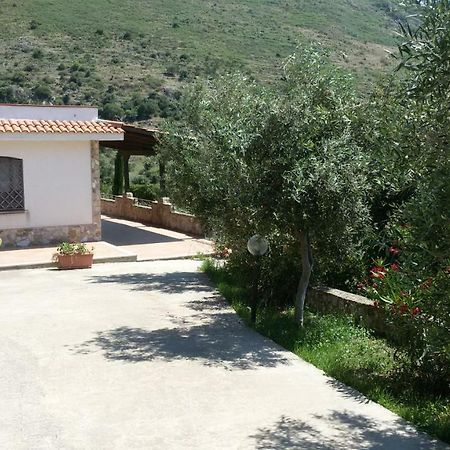 Case Susinna Torretta Capaci Εξωτερικό φωτογραφία