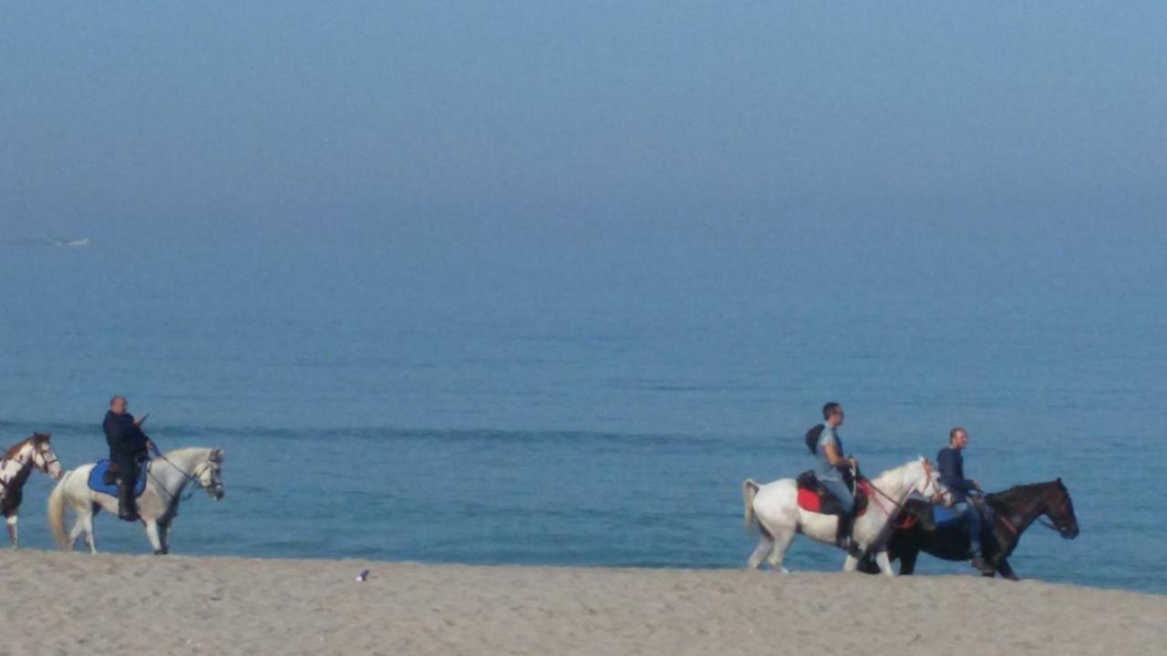 Case Susinna Torretta Capaci Εξωτερικό φωτογραφία